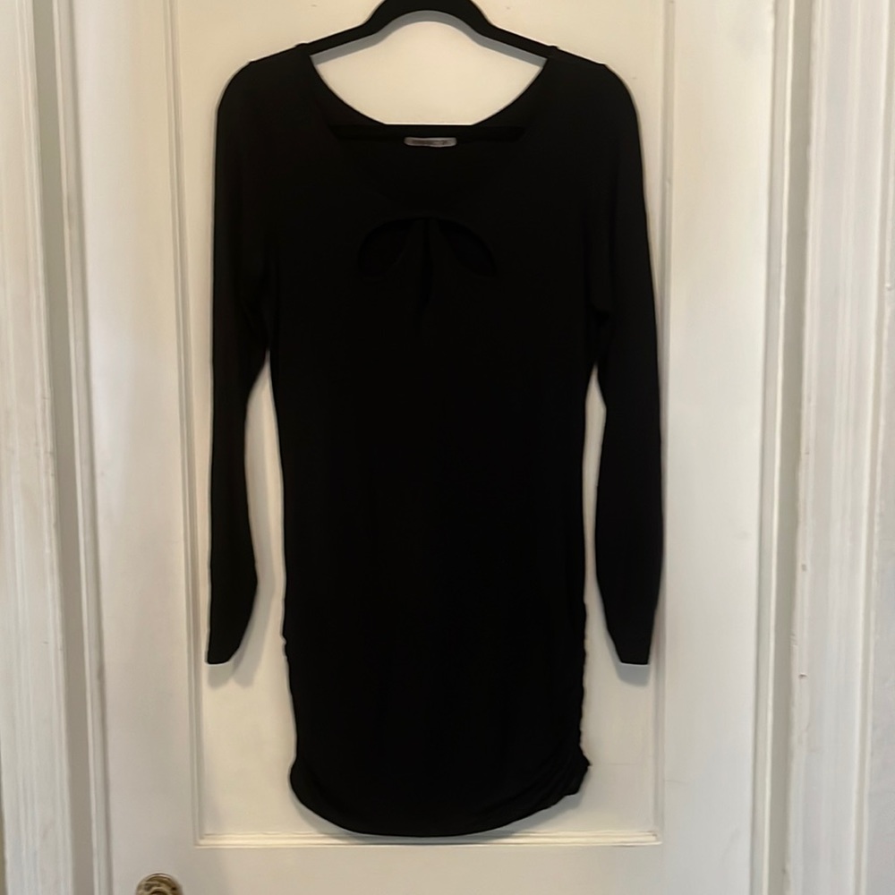 Arden B tunic/minidress